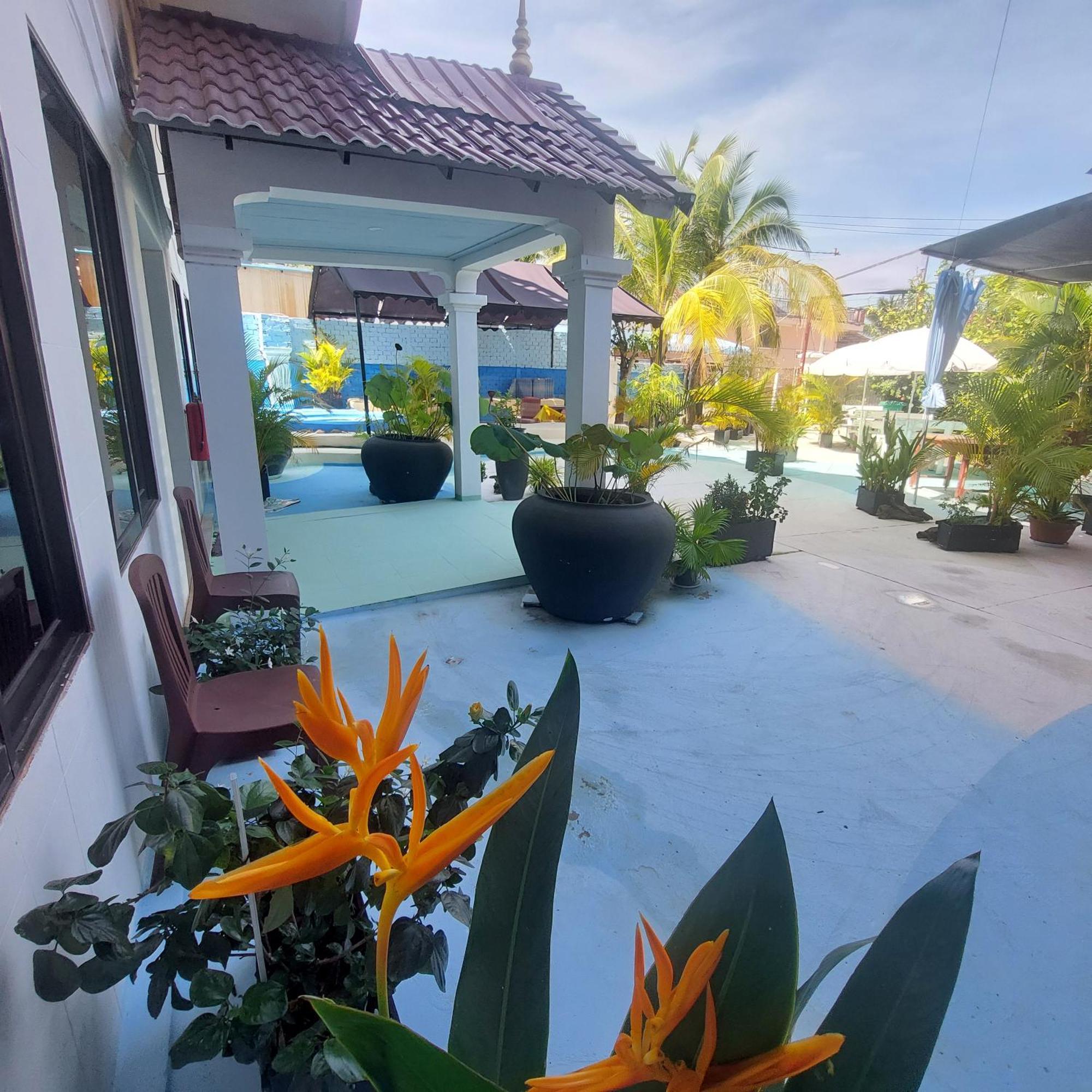 Tropica * Kampot